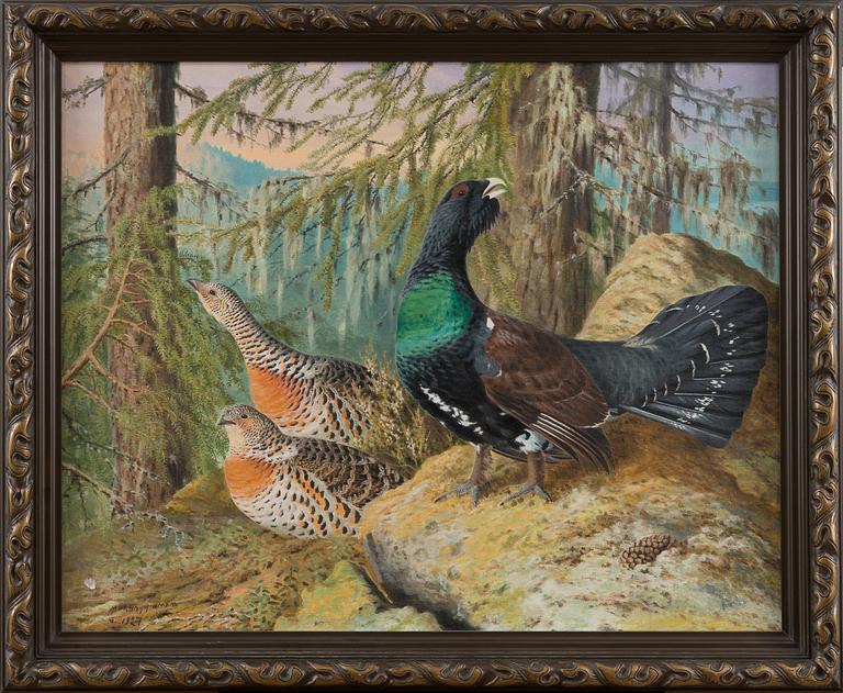 MATTI KARPPANEN, "WOOD GROUSES (SPRING)".