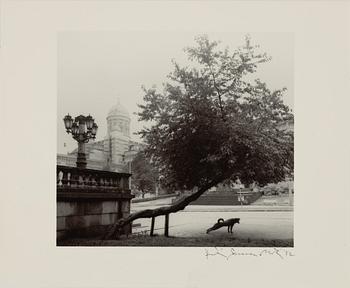 Pentti Sammallahti, Utan titel, 1982.