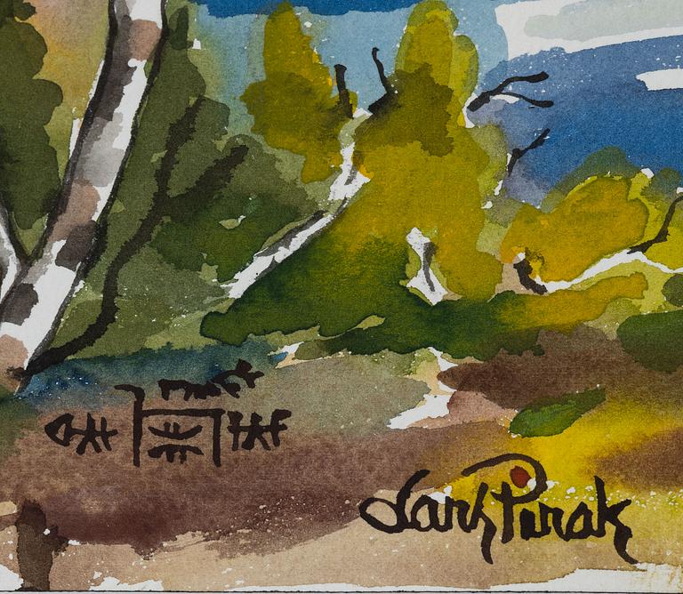 Lars Pirak, Mountain Landscape.