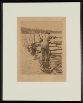 Anders Zorn, "Gärdesgård".