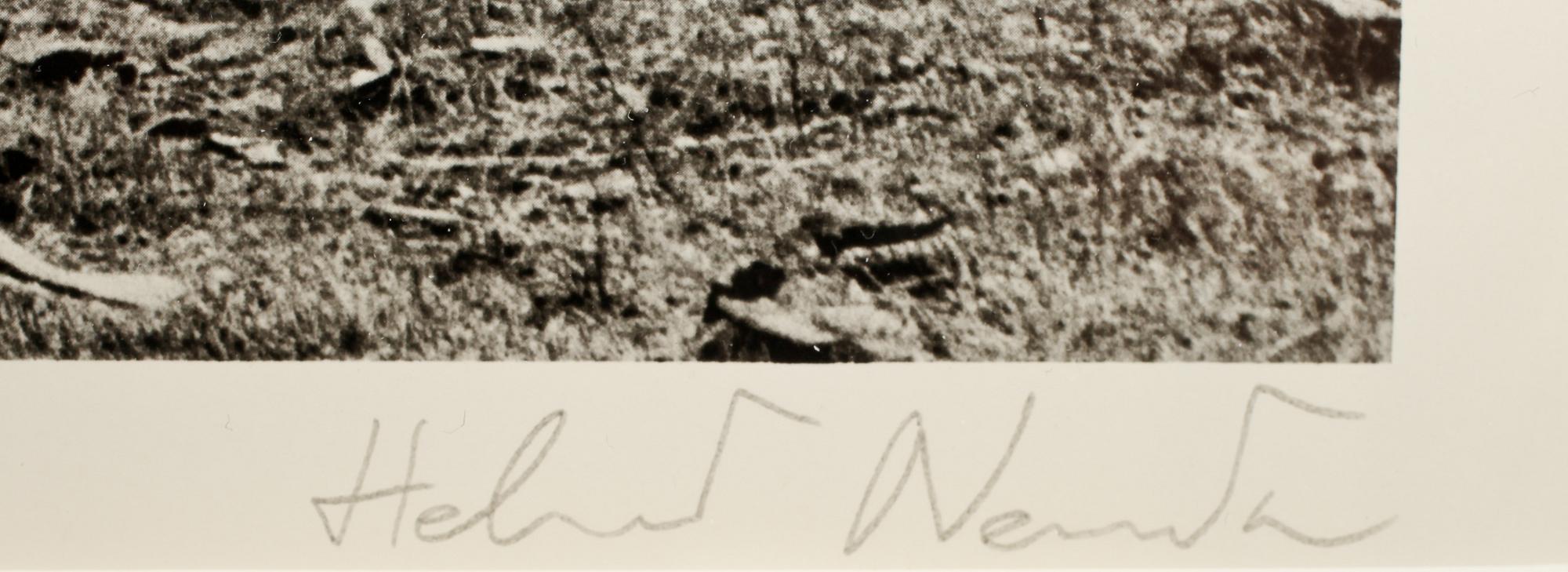 HELMUT NEWTON, offsetlitografi, ur "Special collection", 1976, sign.