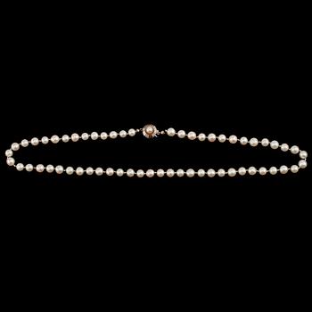 COLLIER, odlade pärlor med lås i 18k vitguld. 1900-talets andra hälft.
