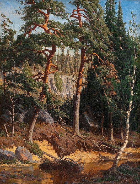 Fanny Churberg, I SKOGEN.