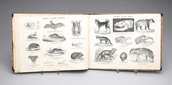 BOK, "Naturhistorisk Atlas för skolan och hemmet", Alberts Bonniers förlag, 1869, Stockholm.