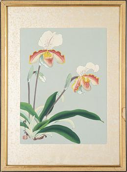 Ikeda Zuigetsu,