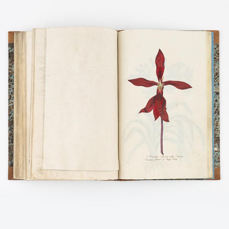 Beautiful botanical work with 177 engravings, 1641 (-44).