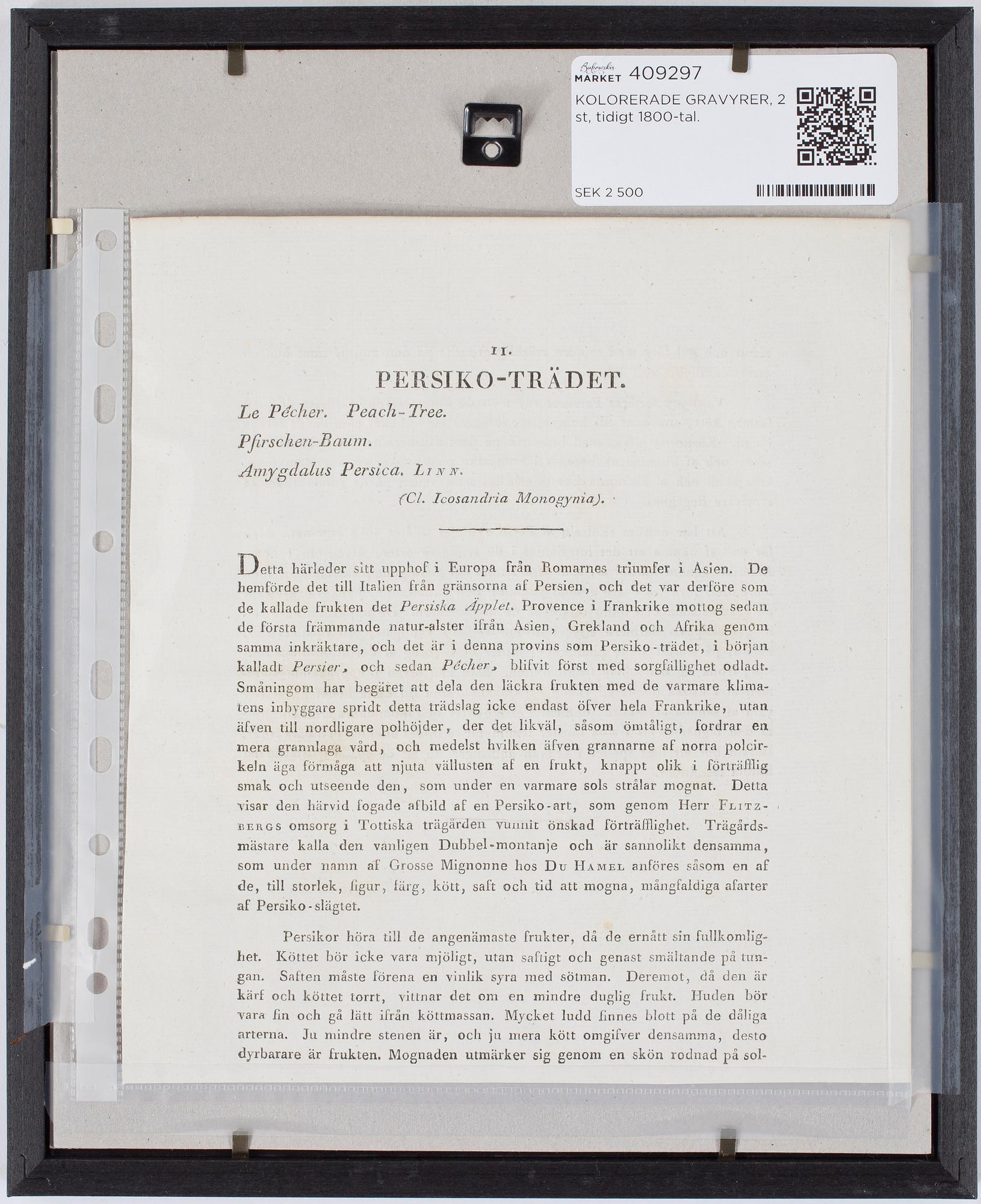 KOLORERADE GRAVYRER, 2 st, tidigt 1800-tal.