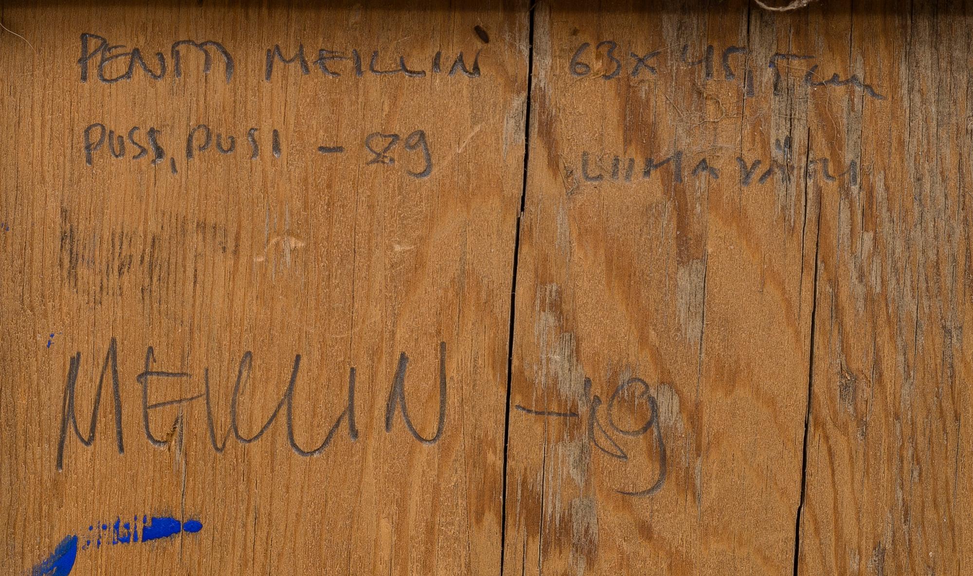 PENTTI MEKLIN, "PUSS, PUSS".