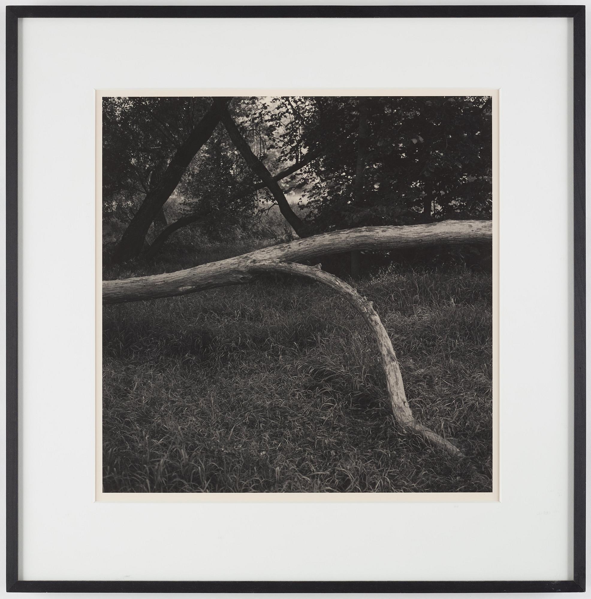GUNNAR SMOLIANSKY, photograph signed on verso.