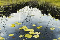Watercolours by Peter Eugén F869
