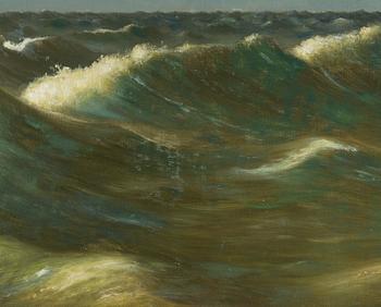 Ferdinand von Wright, Diving Seagull.