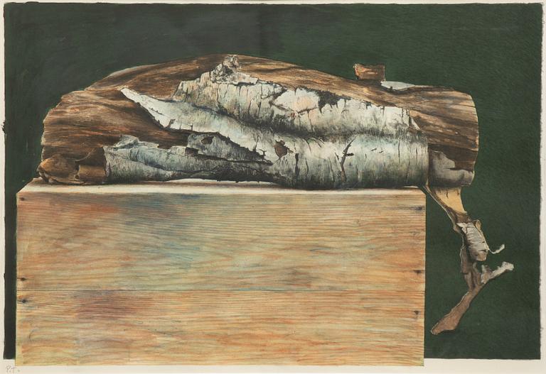 Philip von Schantz, "Björkbit".