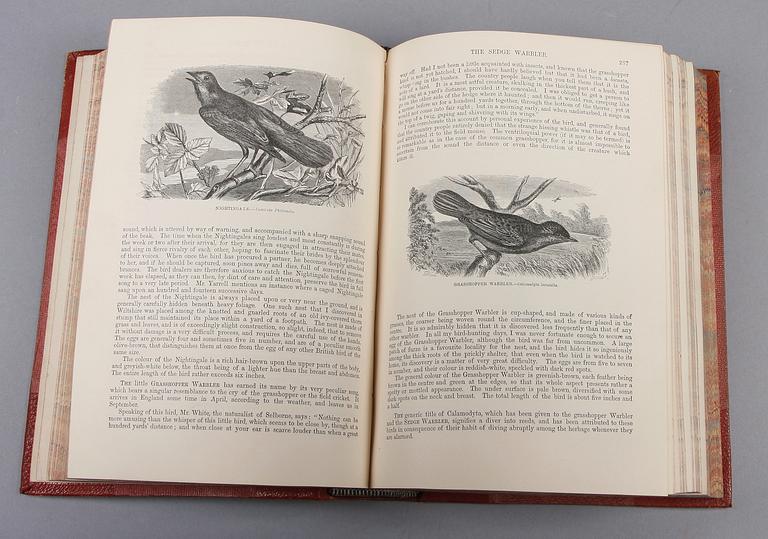 BÖCKER, 3 st, bla "The illustrated natural history, birds" av JG Woods, London 1864.