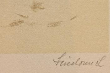 LINDORM LILJEFORS, mapp med 5 färglitografier, sign o numr.