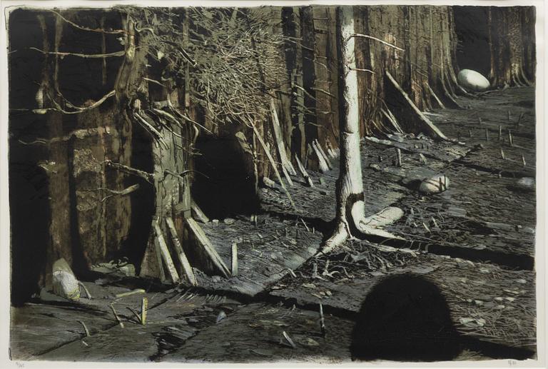 Roj Friberg, The Forest.