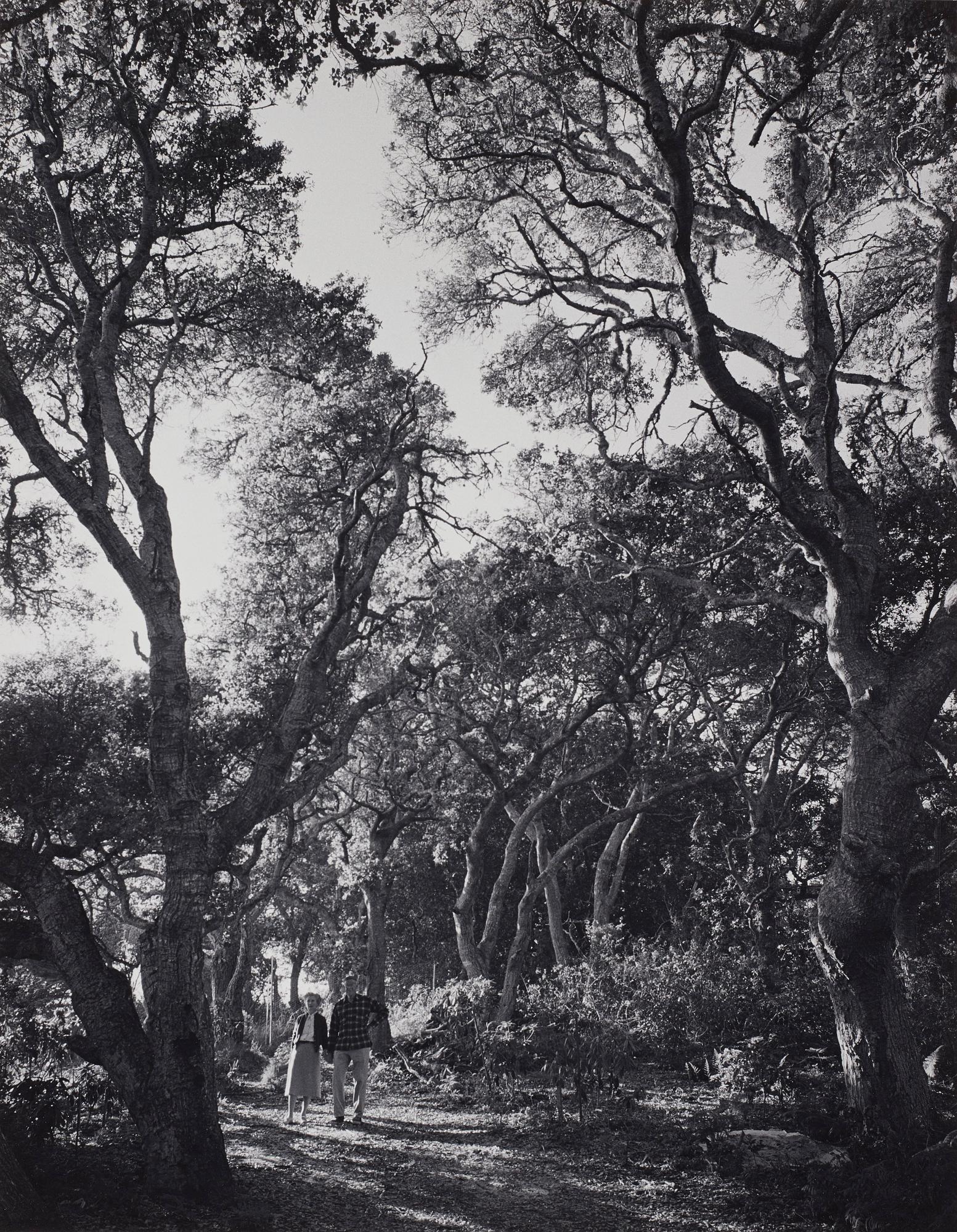 Ansel Adams, 'Mr. and Mrs. William E. Colby, Big Sur, California 1956'.