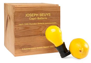 672. Joseph Beuys, "Caprie-Batterie".