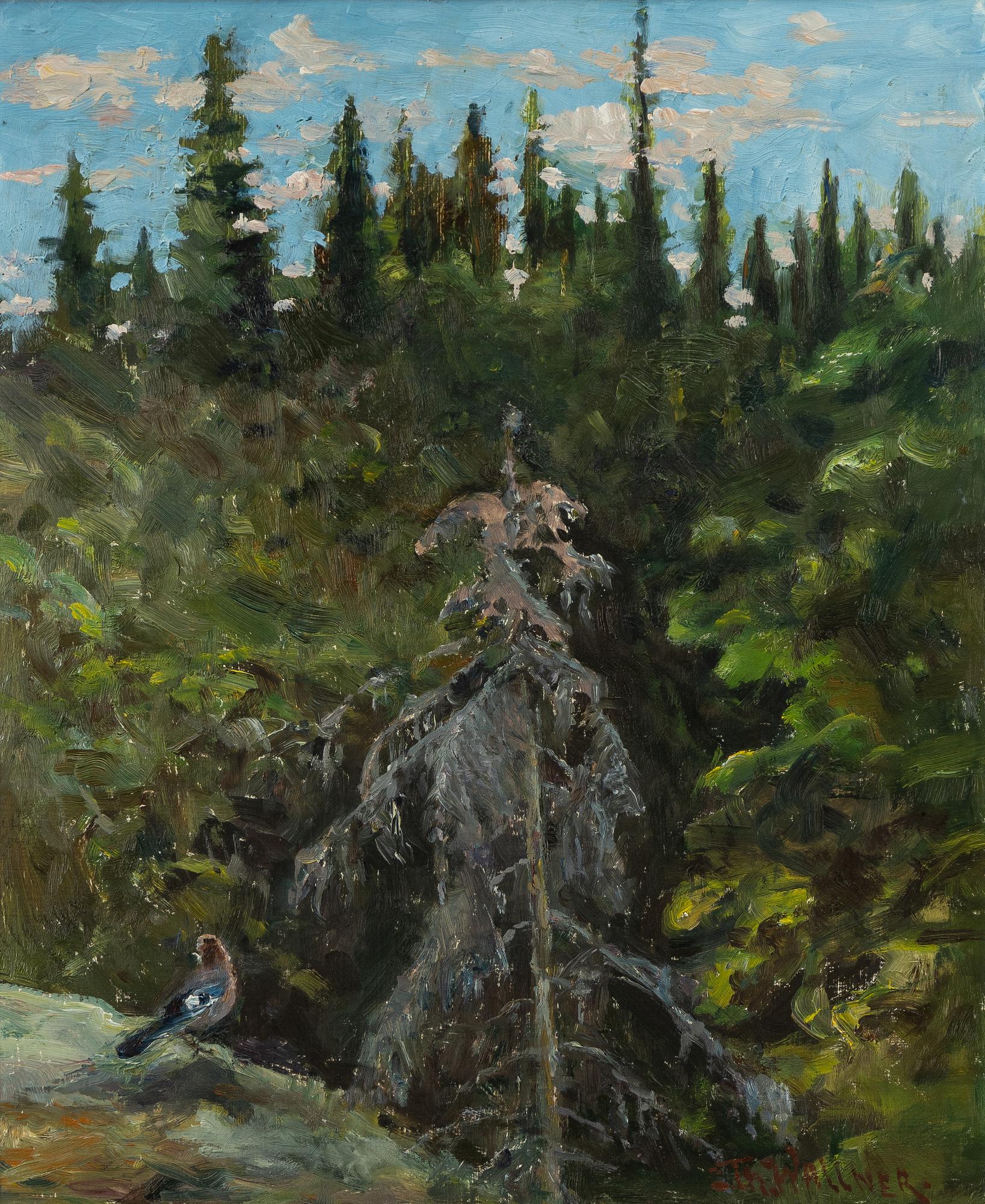 Thure Wallner, Bird at the edge of a forest.