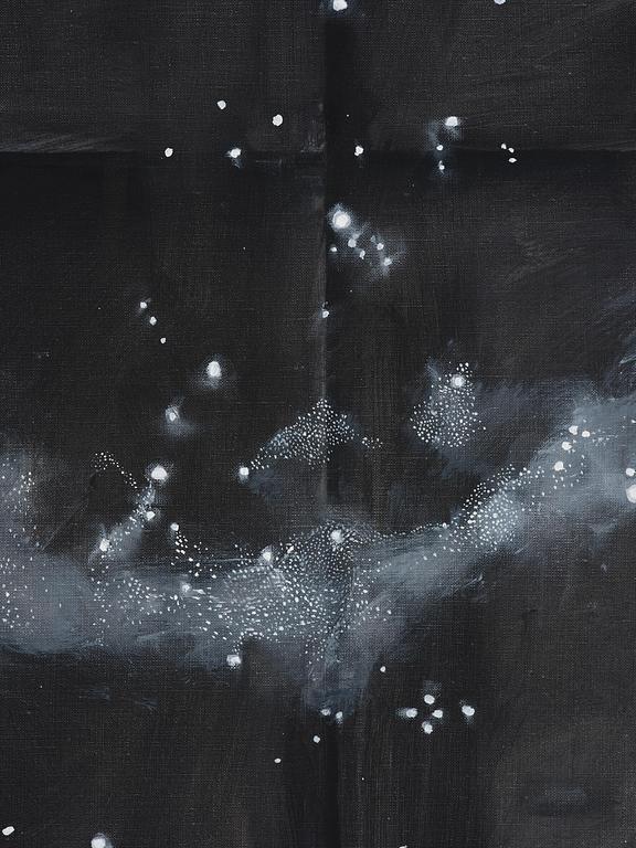 Ylva Snöfrid (Ogland), "Xenia, Syringe and North Starry Sky".