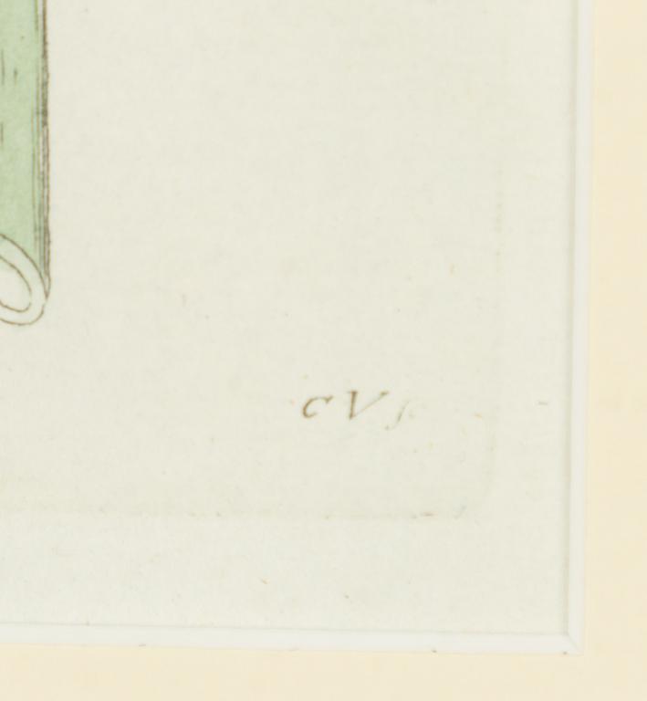 Twelve hand-coloured engravings, J.W. Palmstruch, from 'Svensk Botanik', 1802-1840.