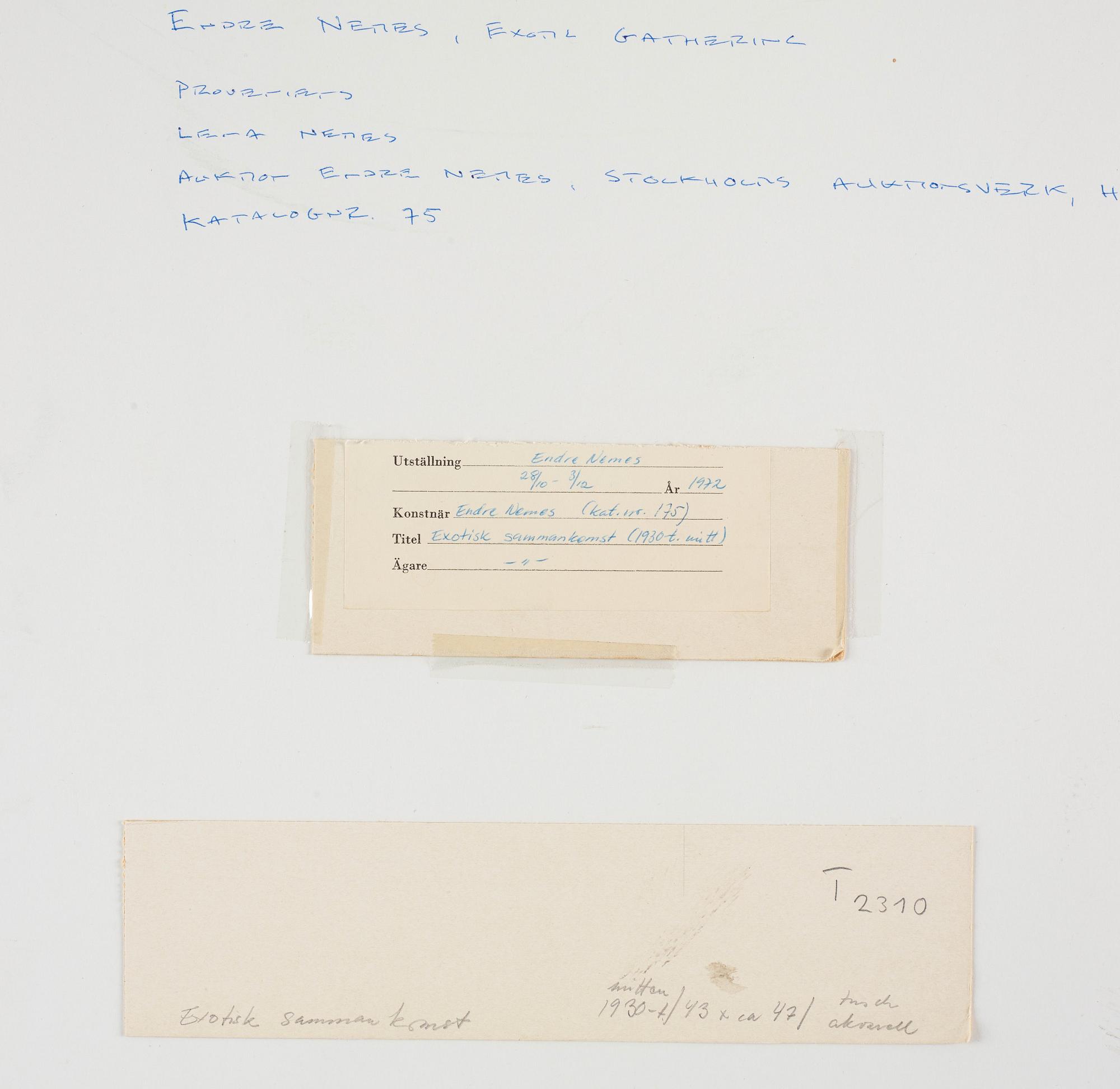 Endre Nemes, "Exotisk sammankomst".