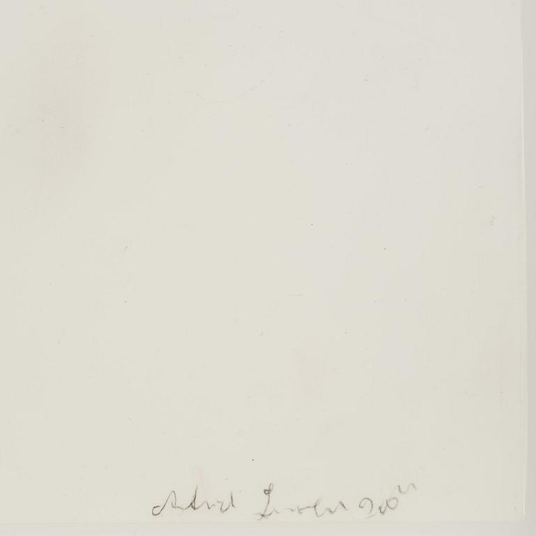 Astrid Svangren, Untitled.