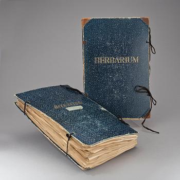 HERBARIUM, 2 st, 1940-tal.
