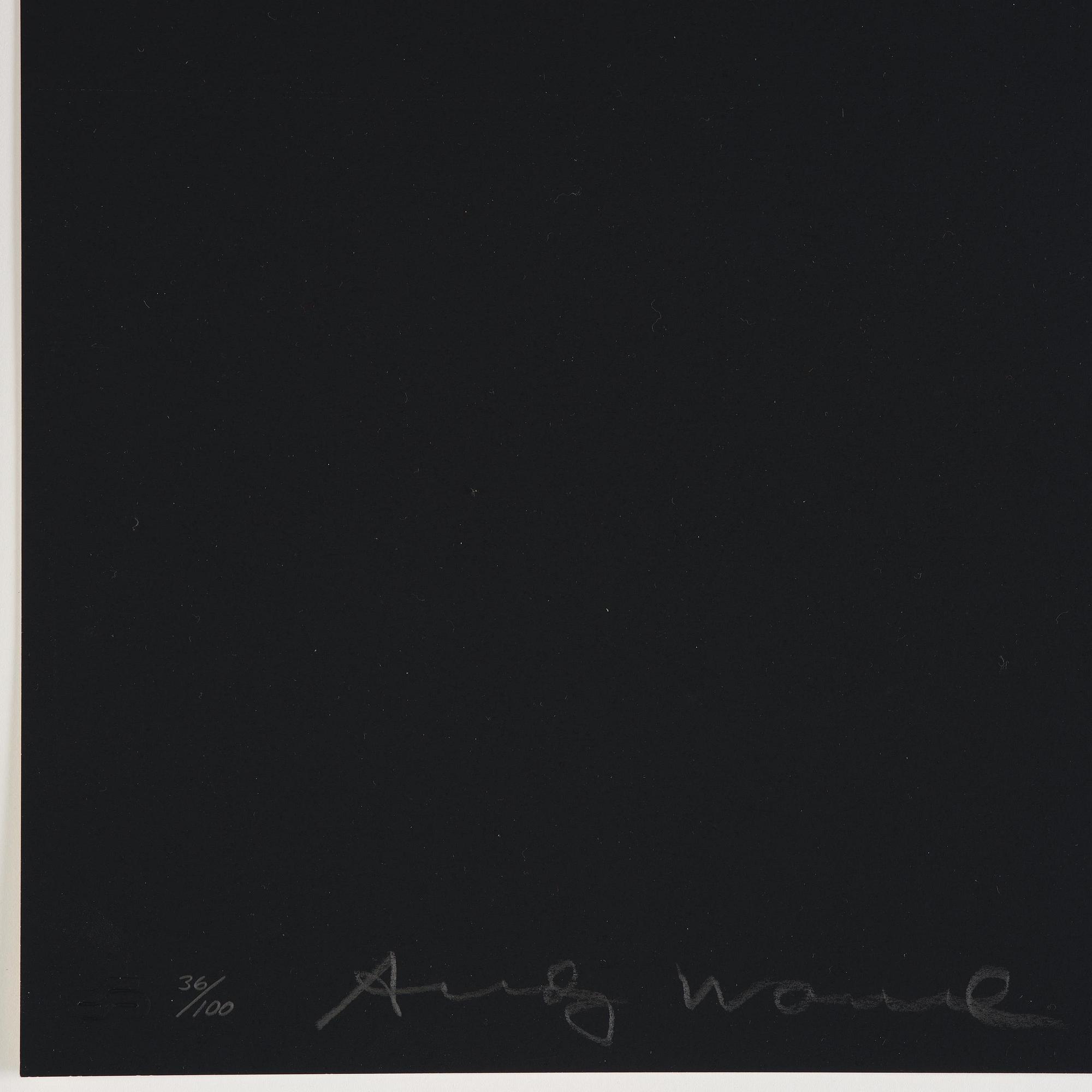 Andy Warhol, "Frölunda Hockey Player".