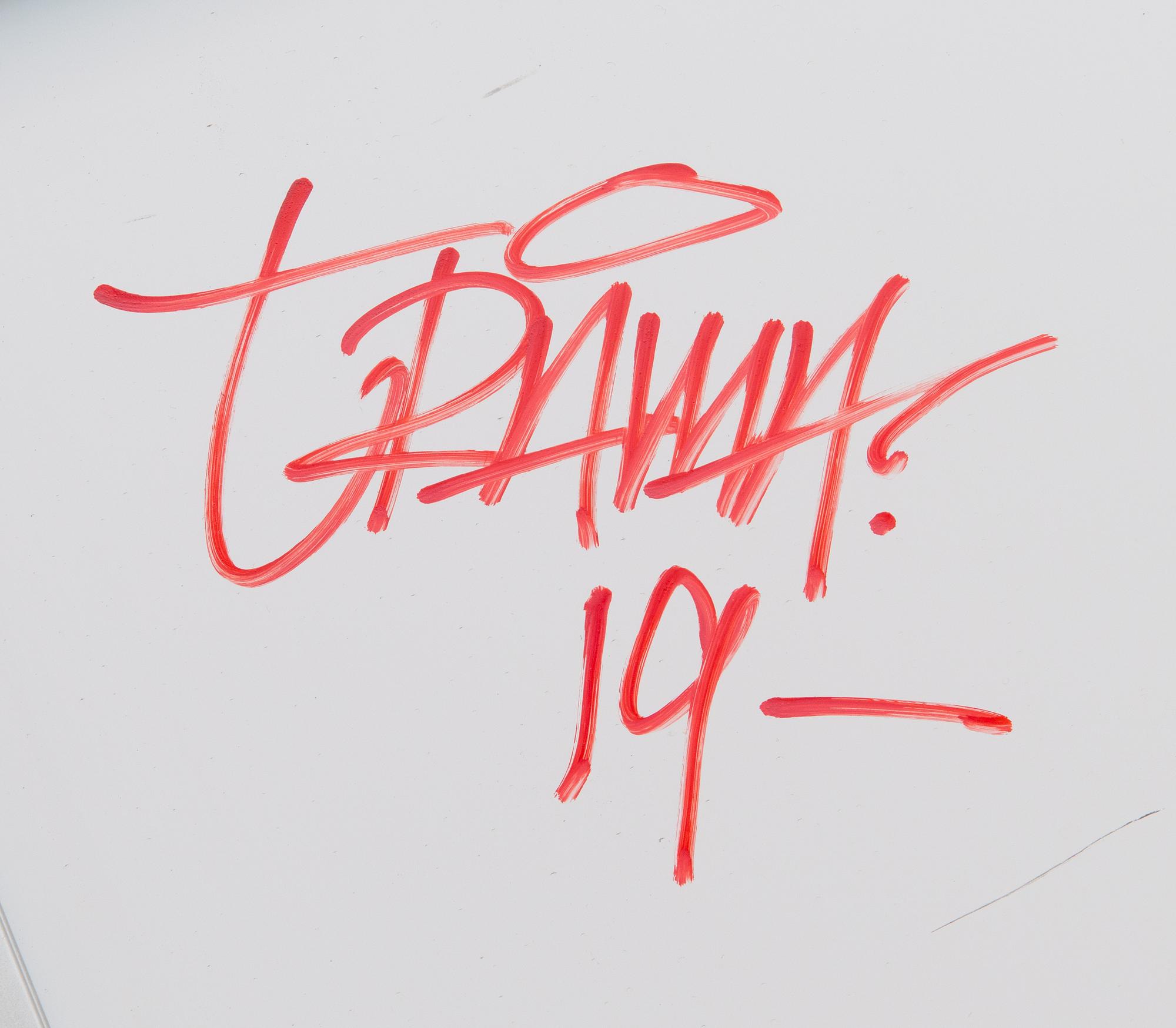 Trama, sekatekniikka ja spraymaali levylle, a tergo signeerattu ja päivätty -19.