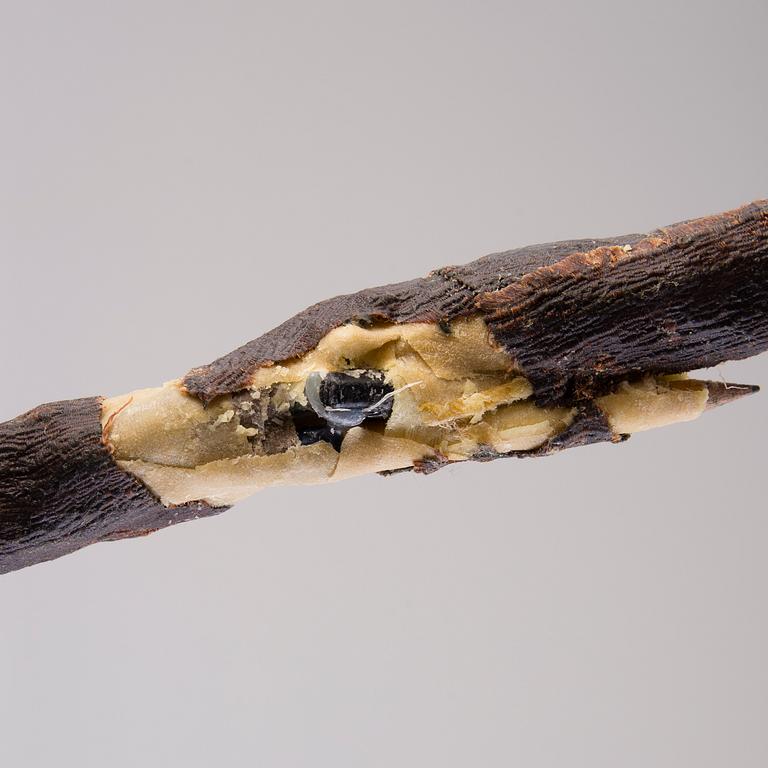 NIRAN BAIBULAT, "OKSA II".