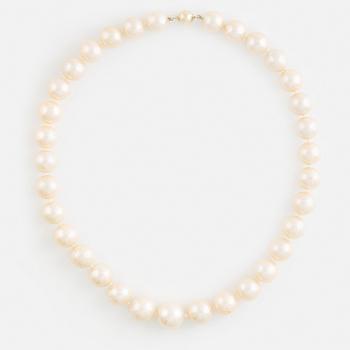 Collier odlade sötvattenspärlor med lås 14K guld.
