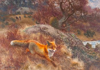 66. Bruno Liljefors, Fox with hounds.