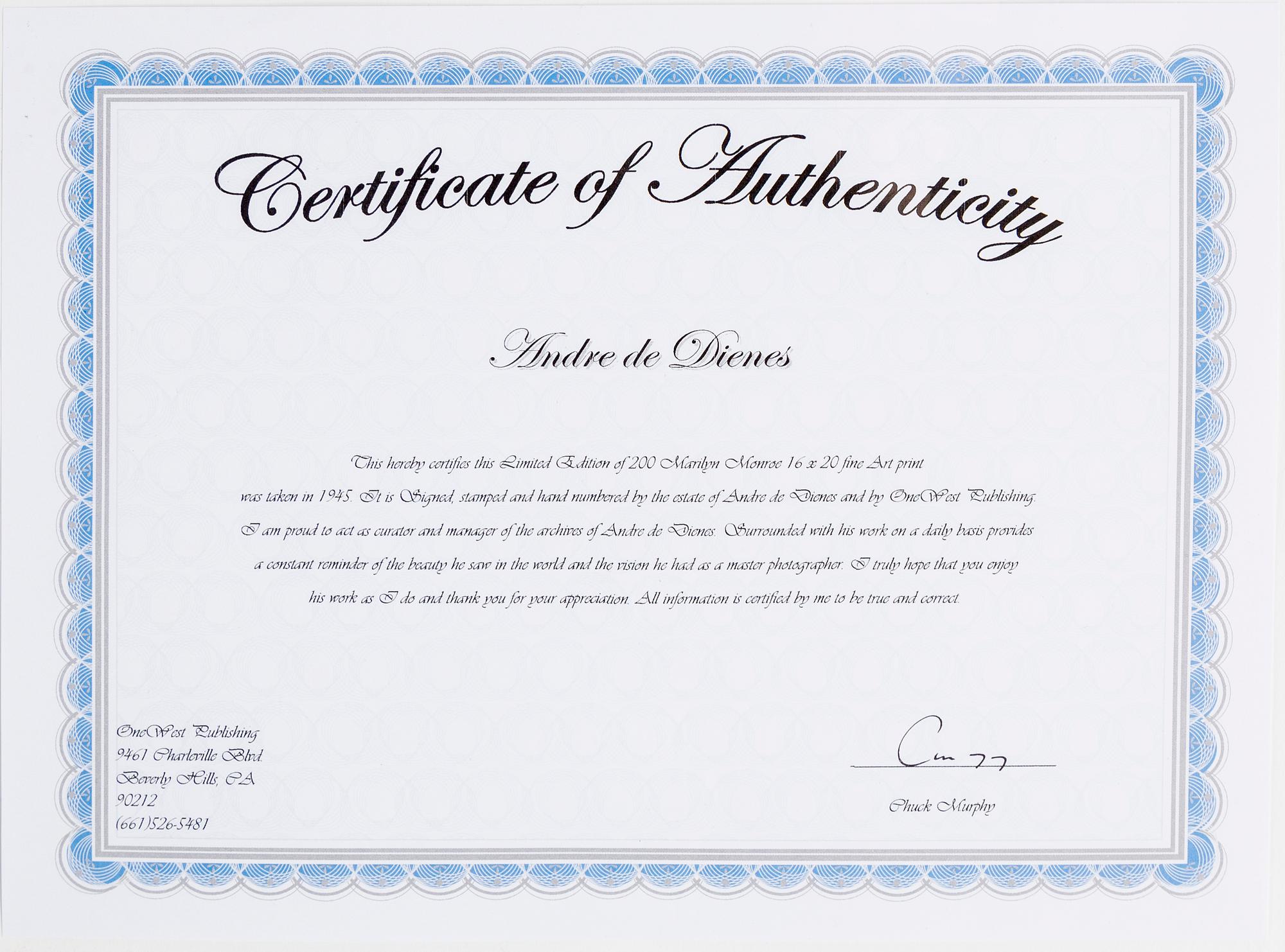 ANDRÉ DE DIENES, efter, photo/fine art print, stamped by the estate 119/200 and dated 2006 verso.