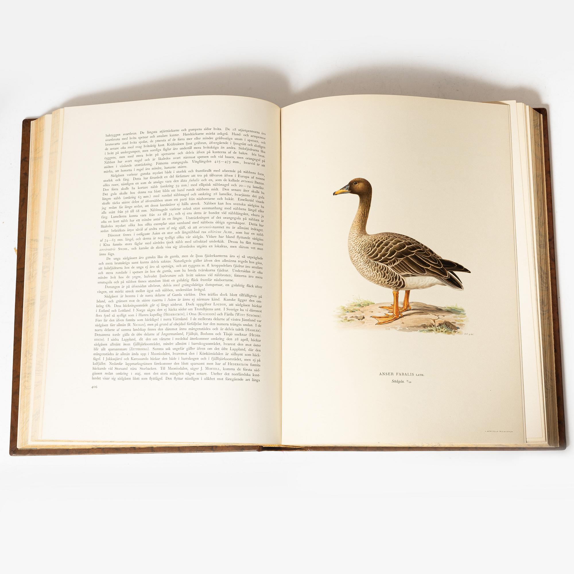 The Wright Brothers, book work, 3 volumes, "Swedish Birds", A. Börtzells tryckeri AB, Ivar Baarsen, Stockholm, 1927-1929.
