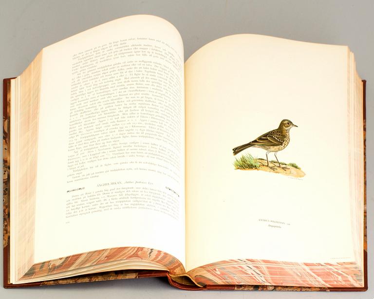 The von Wright Brothers, book work, 3 vols "Swedish Birds", A. Börtzells Printing Co. Ltd., Stockholm, 1924-1929.