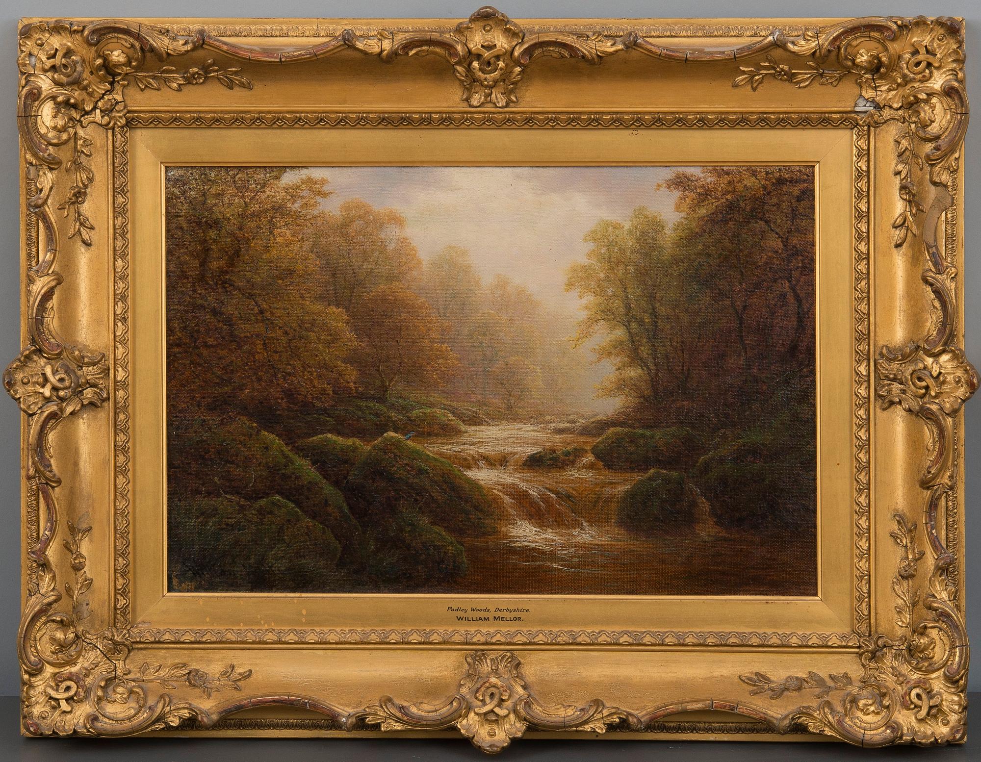 William Mellor, "PADLEY WOODS, DERBYSHIRE".