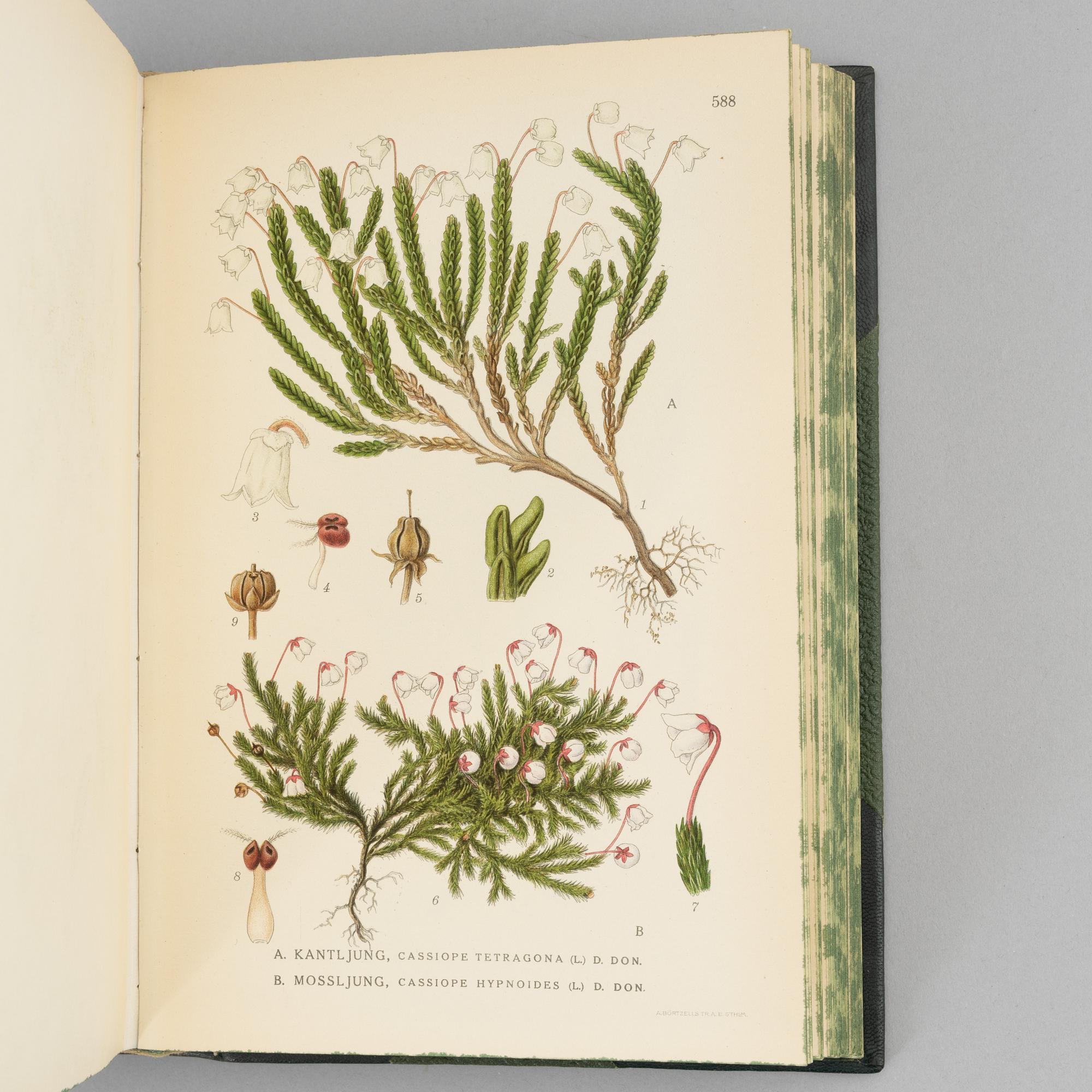 Four volumes of 'Bilder ur Nordens flora', C.A.M. Lindman