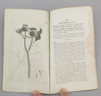 JOHAN WILHELM PALMSTRUCH, "Svensk Botanik, vol I-V. 1803-1805.