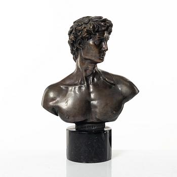 Bust, after Michelangelo's 'David'.