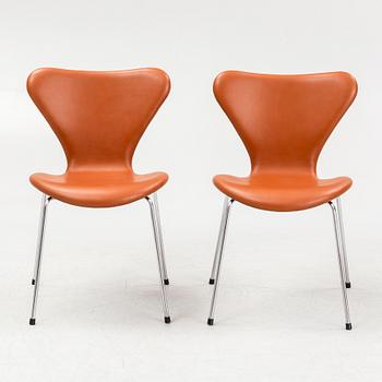 Arne Jacobsen, chairs, 6 pcs, "The Seven", Fritz Hansen, Denmark, 1972.