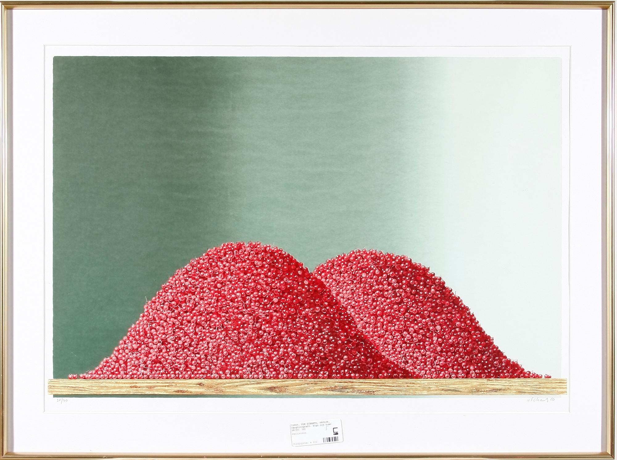 VON SCHANTZ, PHILIP, färglitografi. Sign och numr 28/90.