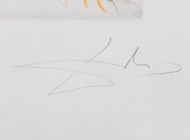 SALVADOR DALÍ, etsning, signerad och numrerad XXIX/C.