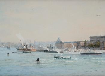 Anna Palm de Rosa, View towards Stockholm Castle from Balsieholmskajen.