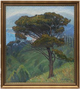 Bengt Hedberg, "Pinie, Montenegro, Italien".