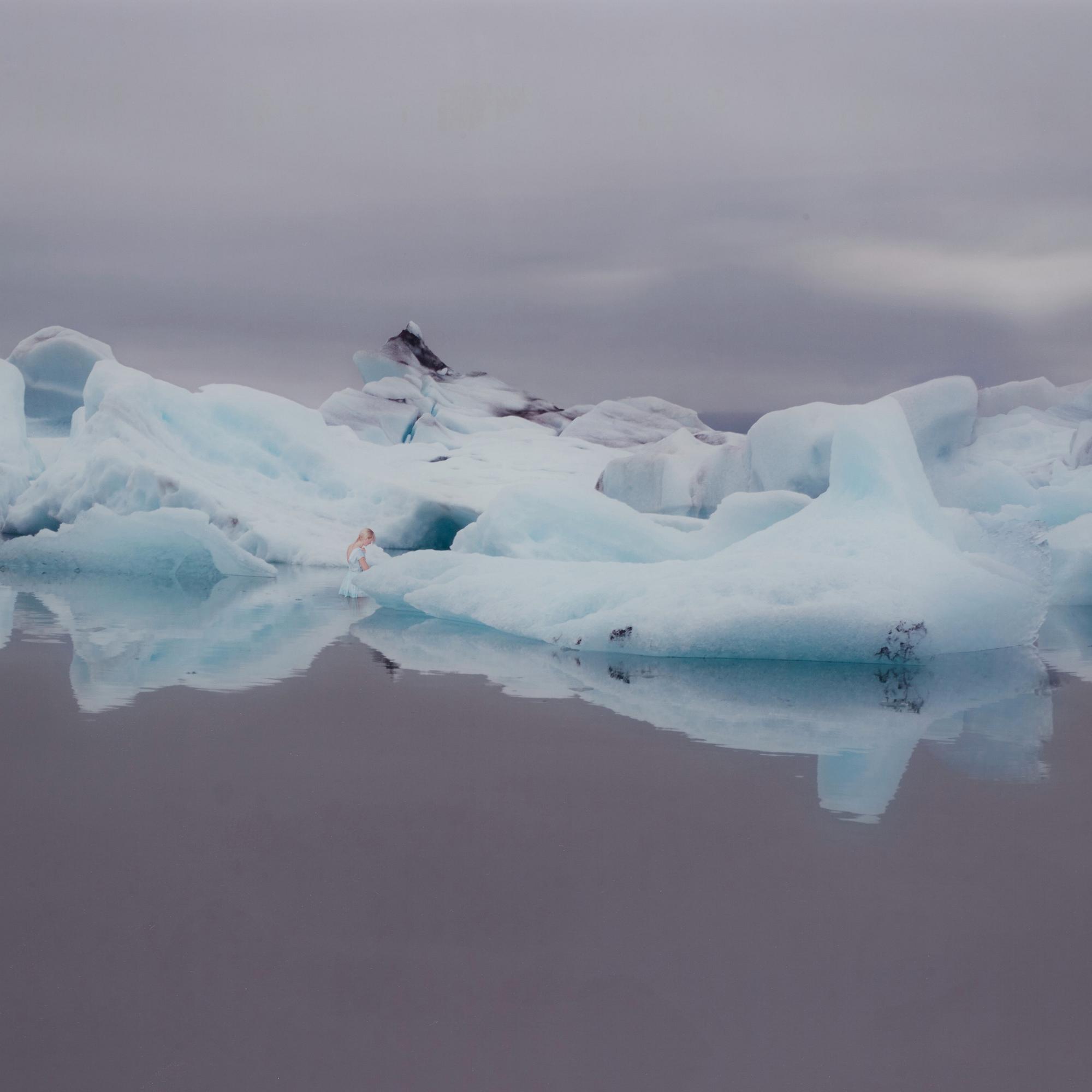 Ann Eringstam, C-print silicone mounted to aluminum and acrylic glass. Signed Ann Eringstam on label verso.