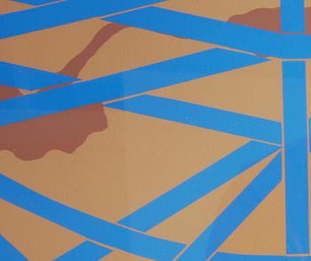 MAKANDER, ANN. Färglitografi, sign, dat 1985, numr 12/15.