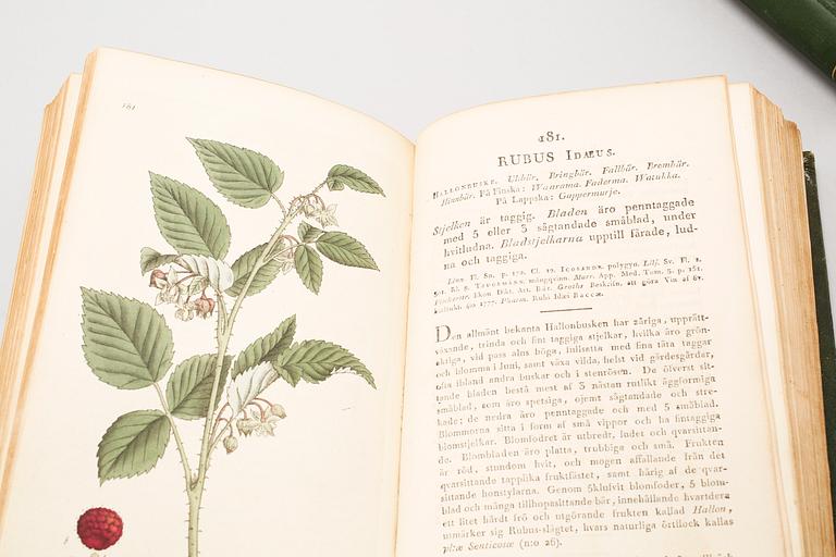 4 volumes of 'Svensk Botanik' ('Swedish Botany') by J. W. Palmstruch, 1803-1805.