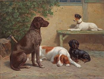 211. Heinrich Sperling, Group of dogs.