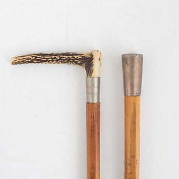 Cane, 2 pcs, von Rosen, 1895-1901.