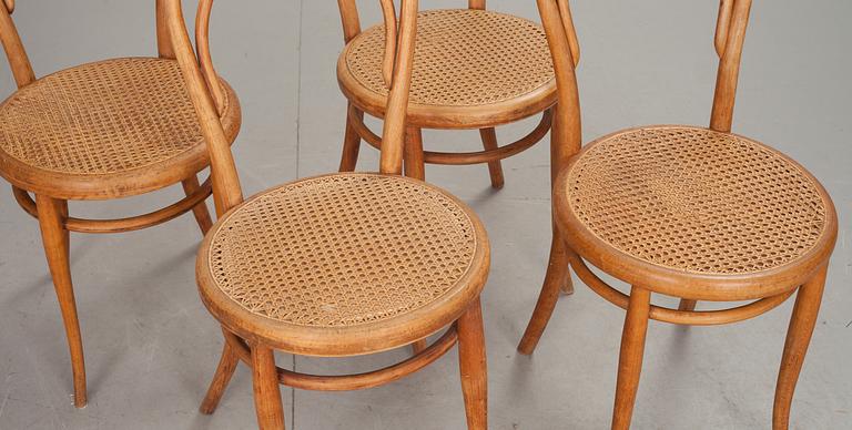 STOLAR, 4 st, Thonet, 1900-tal.